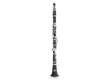 Pure Bb Clarinet CB-317 